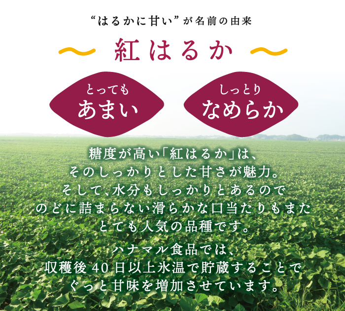 「はるかに甘い」が名前の由来<紅はるか>収穫後40日間貯蔵庫熟成!